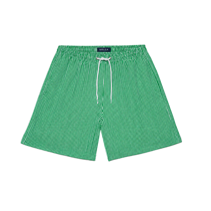 Grün-weiß gestreifte Badeshorts
